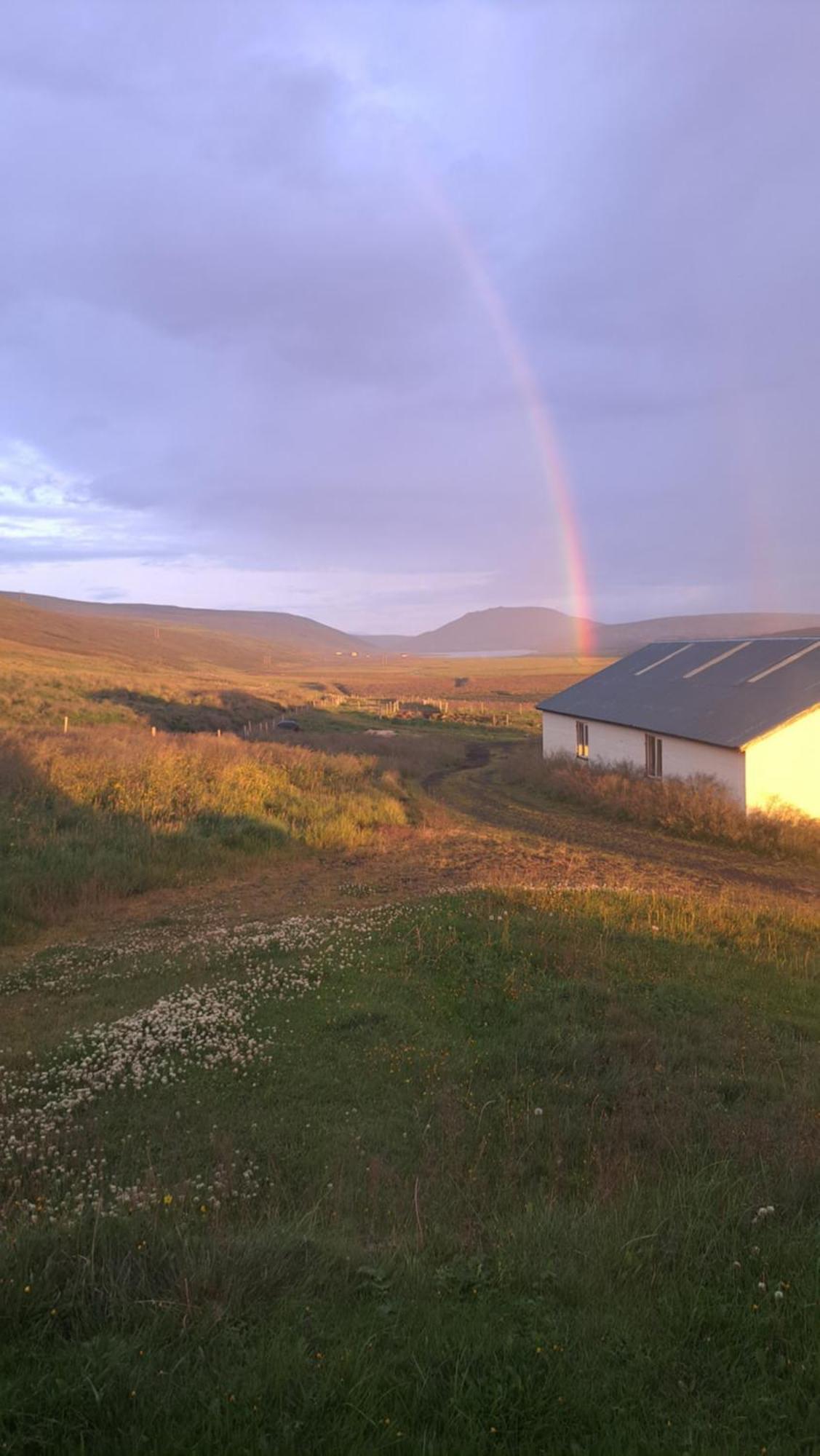 Guesthouse Klambrasel Skogar  المظهر الخارجي الصورة